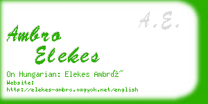 ambro elekes business card